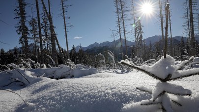 Cały obszar Tatr zamknięty dla turystów