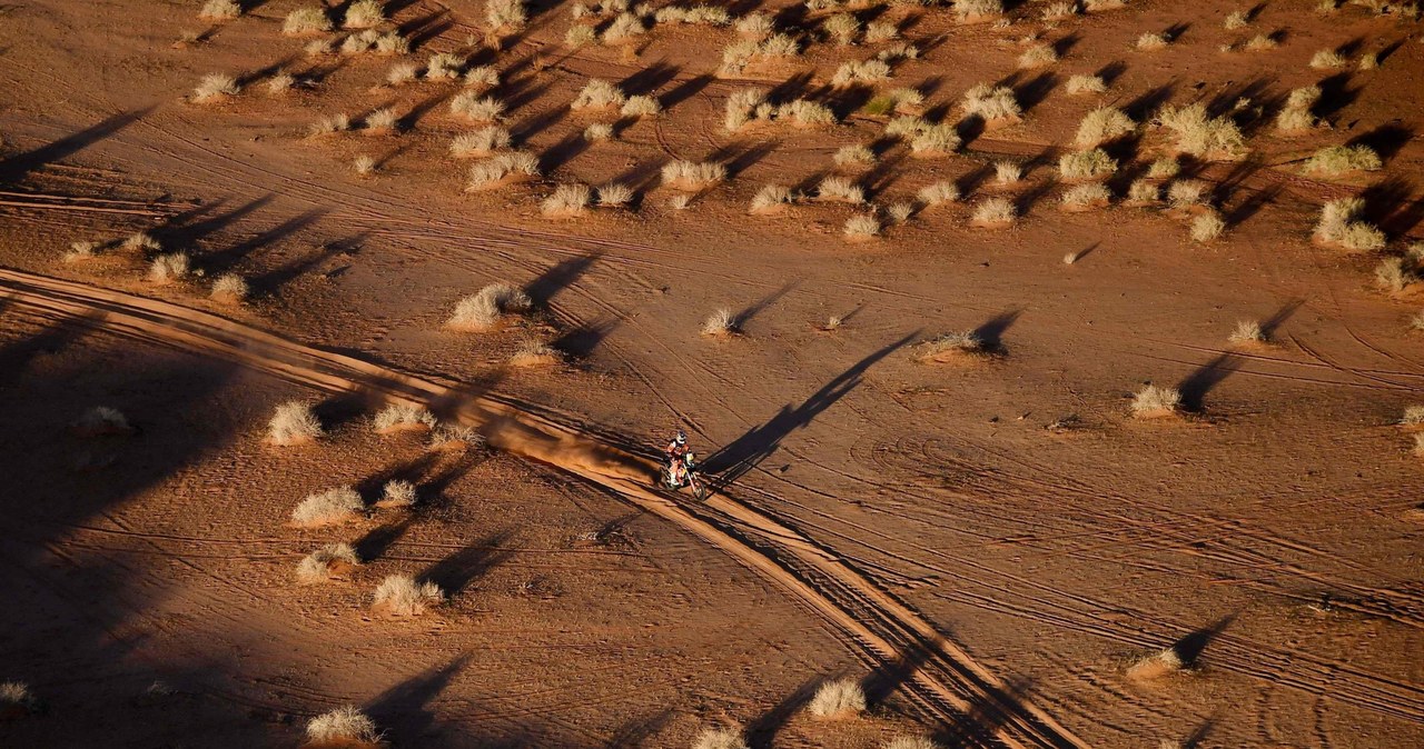 Camel grass na trasie odcinka /AFP