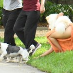 Camila Cabello zaliczyła wpadkę na spacerze z psem!