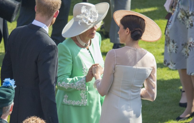 Camilla, książę Harry i Meghan /Getty Images
