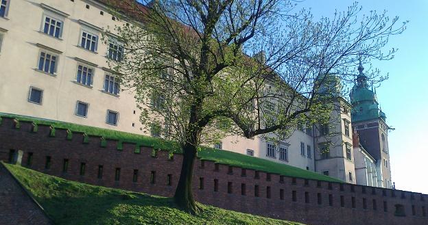 Capita będzie mieć pod Wawelem centrum outsourcingowe. Fot. Krzysztof Mrówka /INTERIA.PL