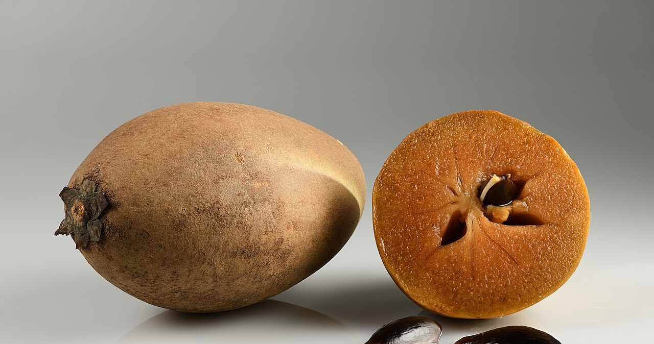 Cаподіла знижує рівень цукру в крові та покращує стан шкіри /Domena publiczna