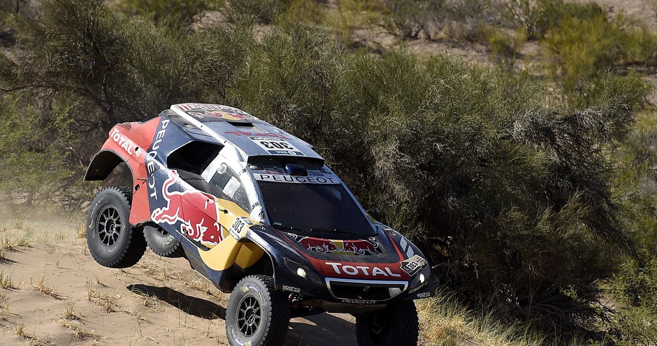 Carlos Sainz  w akcji /AFP