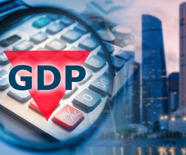 Carmen Reinhart: Nie wykluczam dalszego spadku prognoz dla światowego PKB