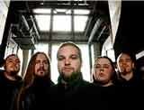 Carnal Forge /