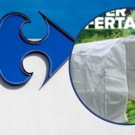 Carrefour już startuje z ogrodem. Zobacz, co warto kupić na wiosnę 