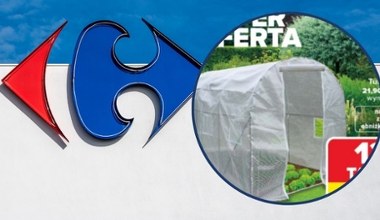 Carrefour już startuje z ogrodem. Zobacz, co warto kupić na wiosnę 