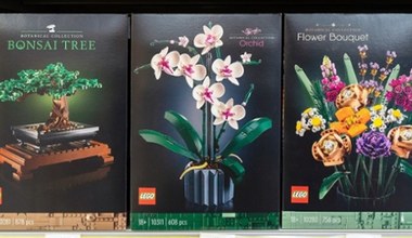 Carrefour przecenia kwiaty i bukiety… z klocków LEGO! Idealne jako prezent na Dzień Matki!