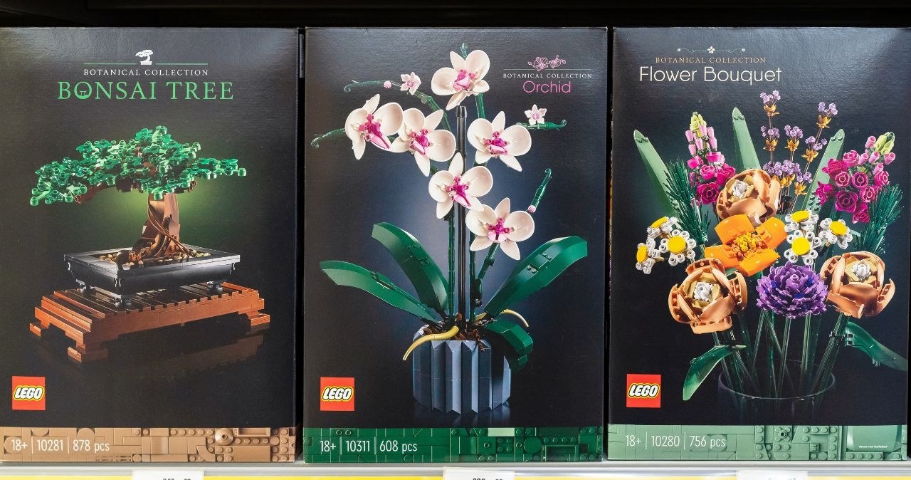 Carrefour przecenia kwiaty… z klocków LEGO! Idealny prezent dla mamy /adobestock /INTERIA.PL