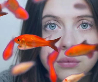 "Carrie Pilby" [recenzja]: Wyznania genialnej nastolatki