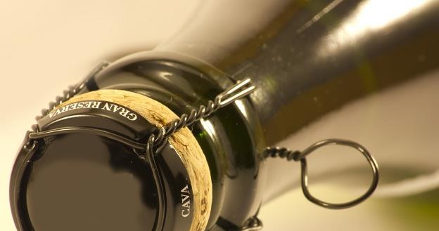 Cava - hiszpanski odpowiednik szampana /&copy;123RF/PICSEL