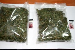 CBŚ zlikwidowało plantację konopi indyjskich w Pabianicach