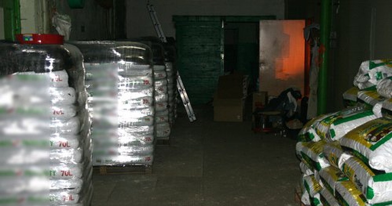 CBŚ zlikwidowało plantację konopi indyjskich w Pabianicach