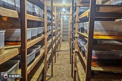 CBŚP w Łodzi zlikwidowało dwa laboratoria narkotyków