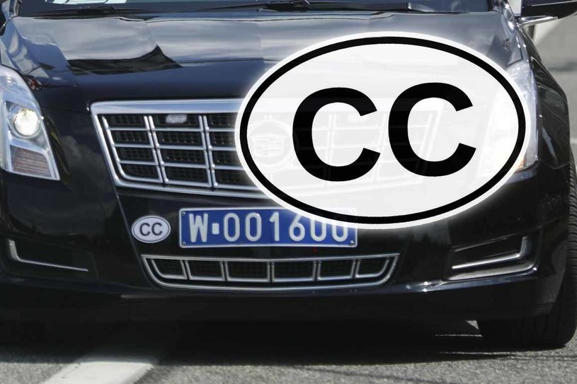 CC, CD - co oznaczają takie nalepki na samochodach? / Beata Zawrzel/REPORTER  /East News
