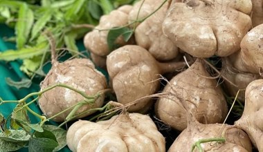 Це не селера і не ріпа. Вона низькокалорійна та багата на кальцій