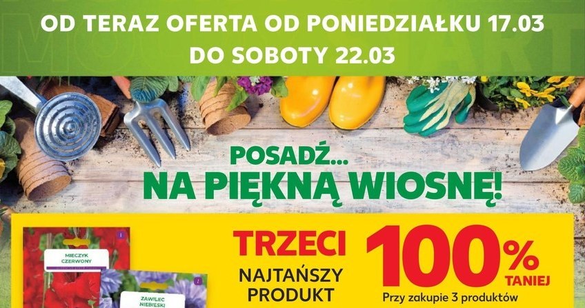 Cebulki kwiatowe - trzecie gratis w Kauflandzie! /Kaufland /INTERIA.PL