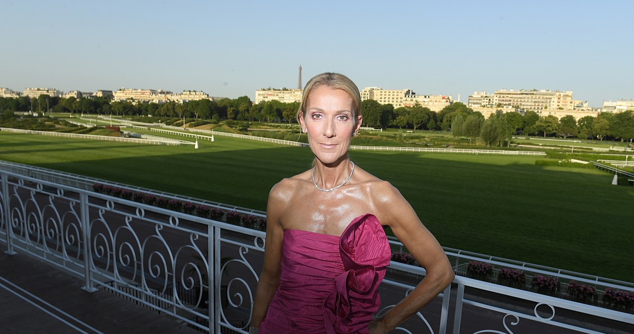 Celine Dion ma już plany na przyszłość / Victor Boyko / Contributor /Getty Images