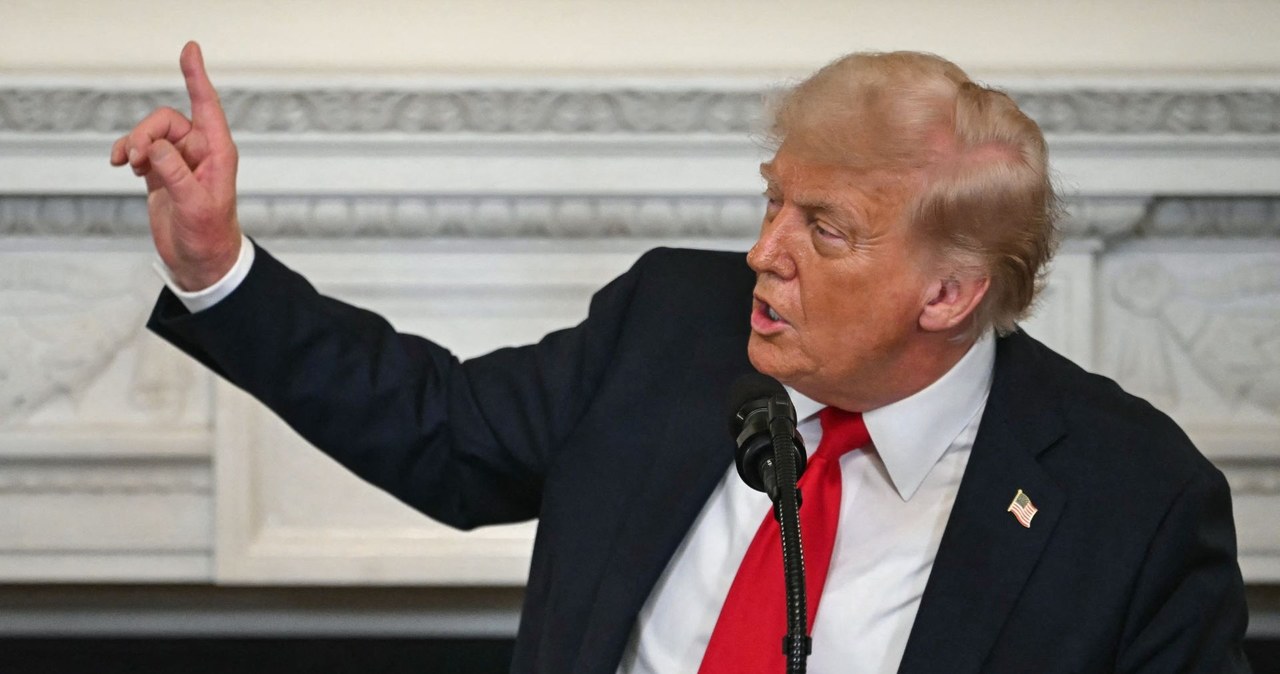 Cena ceł Donalda Trumpa jest ogromna (zdj. ilustracyjne) /Andrew Caballero-Reynolds / AFP /AFP