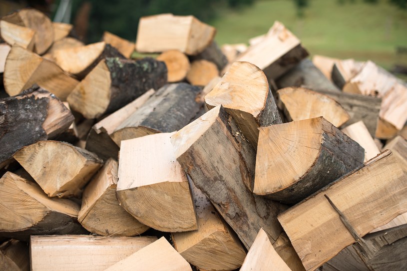 Cena drewna opałowego w 2022 roku przyprawia o zawrót głowy wielu Polaków. Ile aktualnie kosztuje kubik dębu, grabu czy sosny? /123RF/PICSEL /123RF/PICSEL