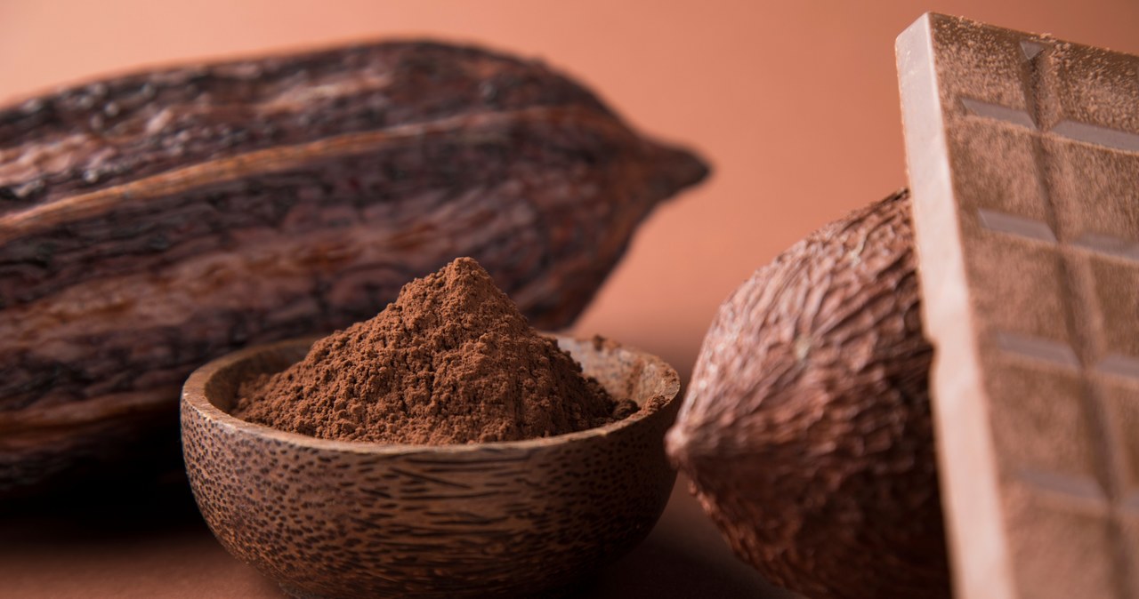 Cena kakao na giełdach bije rekordy, powodem plagi i zmiany klimatu. Czekolada też drożeje /123RF/PICSEL