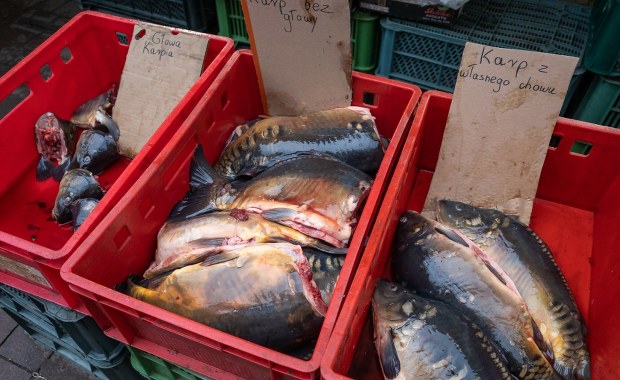 Cena karpia w 2025 roku. Zaczyna wypierać go inna ryba