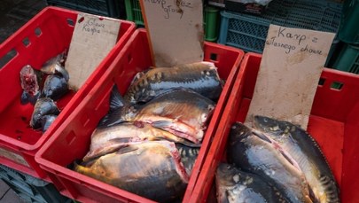 Cena karpia w 2025 roku. Zaczyna wypierać go inna ryba