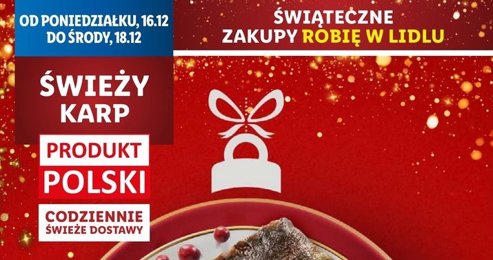 Cena karpia w Lidlu /Lidl /INTERIA.PL