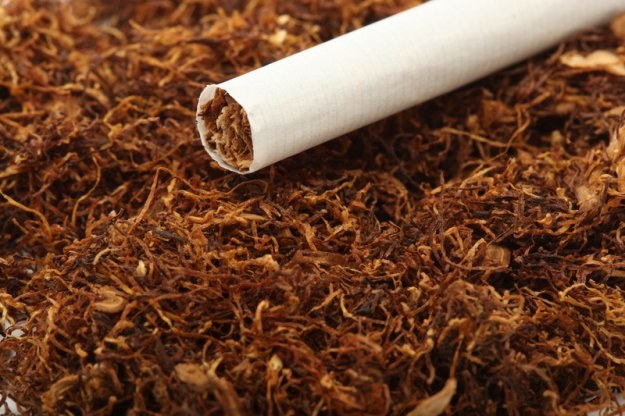 Cena kilograma oferowanego w sieci tytoniu waha się od 60 do 125 zł /&copy; Panthermedia