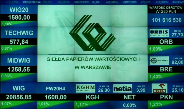 Cena maksymalna akcji w ofercie dla inwestorów indywidualnych wynosi 43 zł /INTERIA.PL