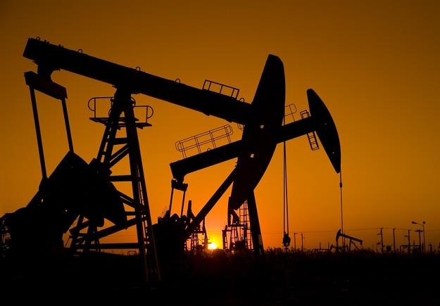 Cena ropy naftowej wzrosła w ciągu roku o 40 proc. /&copy; Panthermedia