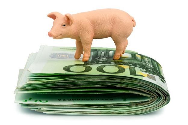 Cena skupu świń spadła o kilkadziesiąt procent /&copy;123RF/PICSEL