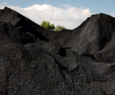 Cena tony węgla kamiennego w portach ARA wzrosła do 237 dolarów 
