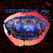 Animal Collective: -Centipede Hz