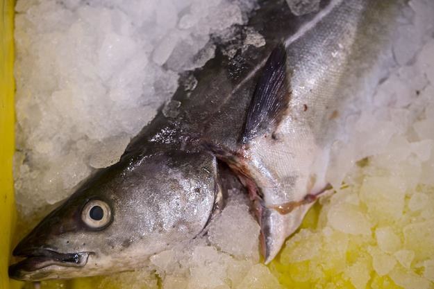 Centra sprzedaży ryb nie poprawiły konkurencyjności sektora /AFP