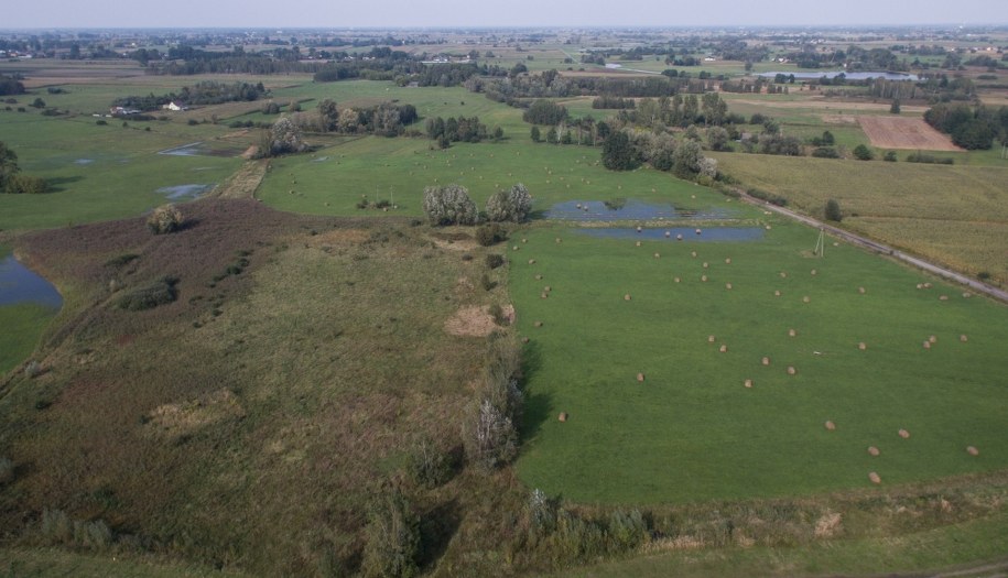 Centralny Port Komunikacyjny ma powstać w miejscowości Stanisławów w gminie Baranów / 	Leszek Szymański    /PAP
