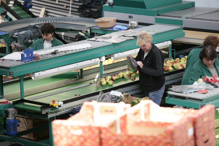 Centrum Dystrybucji Warzyw i Owoców /Paweł Pawłowski /PAP
