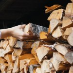 Ceny drewna w lutym 2026 r. Tyle trzeba zapłacić za opał