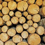 Ceny drewna wzrosną w tym roku o 5 procent