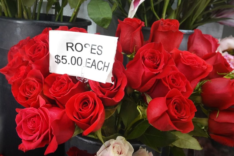 Ceny energii uderzają w ceny kwiatów /AFP