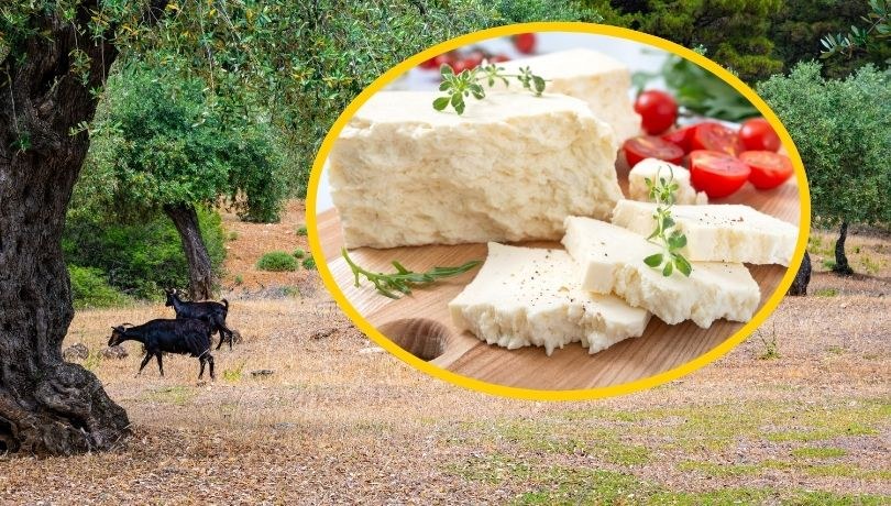 Ceny fety pójdą w górę? Przyszłości greckiego sera zagrażają masowe uboje owiec i kóz /Shutterstock