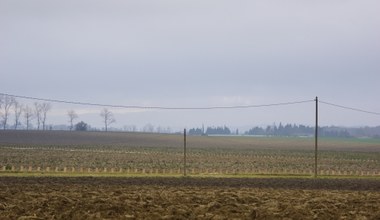 Ceny gruntów rolnych mocno w górę. Duże różnice w zależności od województw