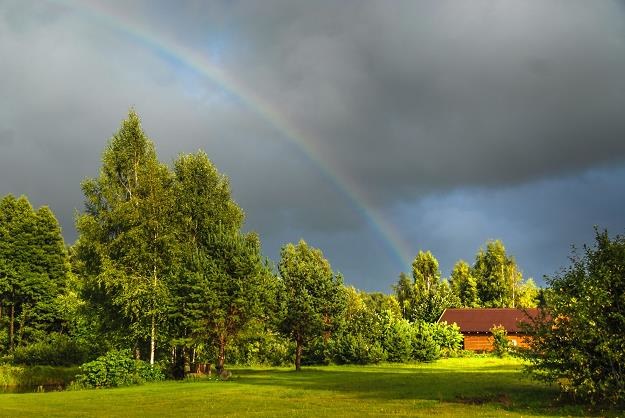 Ceny gruntów rolnych zaczęły już zdecydowanie spadać /&copy;123RF/PICSEL