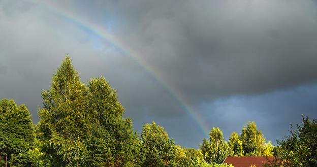 Ceny gruntów rolnych zaczęły już zdecydowanie spadać /&copy;123RF/PICSEL