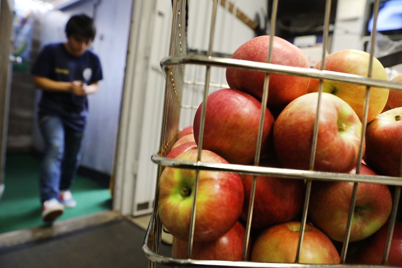 Ceny jabłek poszły w górę o ponad 46 proc. /AFP