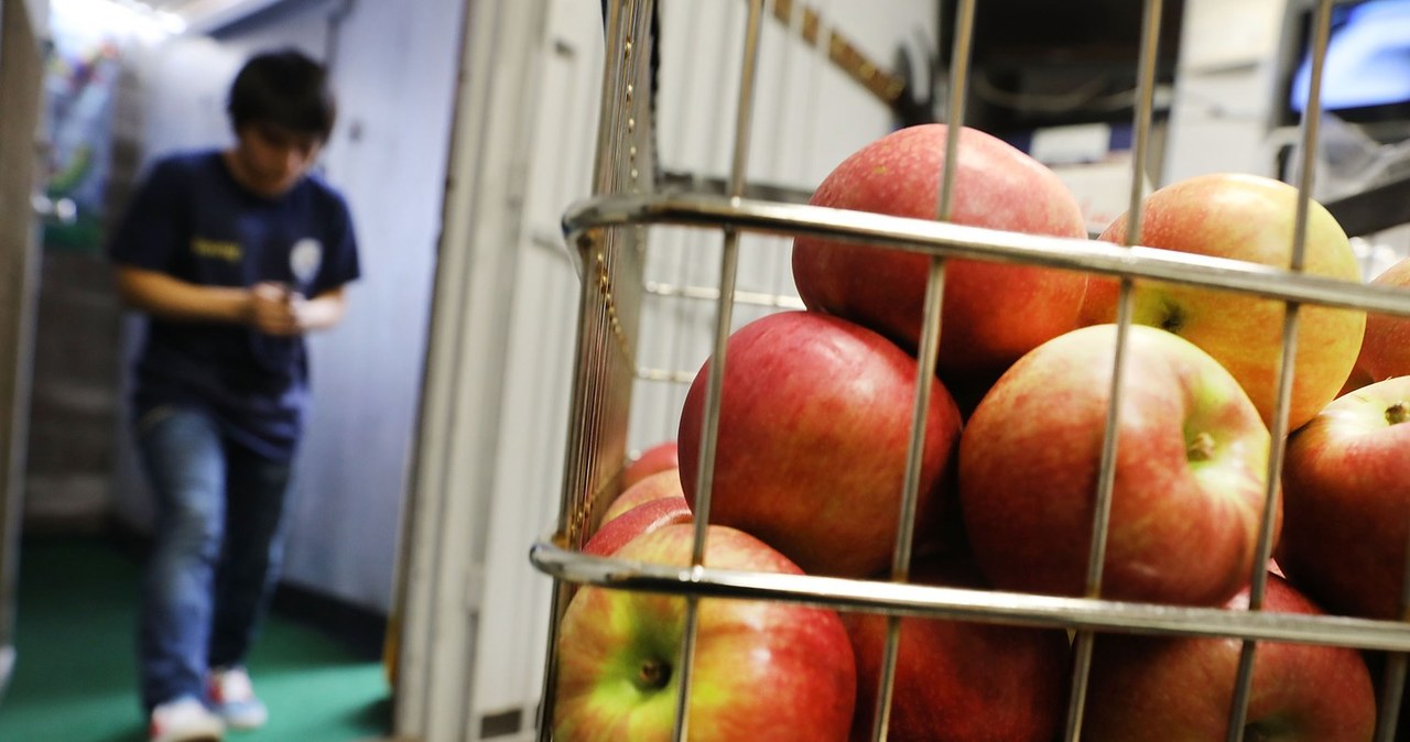 Ceny jabłek poszły w górę o ponad 46 proc. /AFP