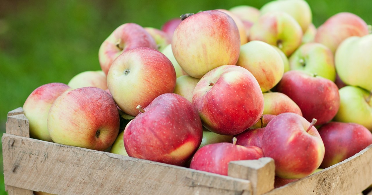 Ceny jabłek różnią się w zależności od regionu. Są jednak stabilne /123RF/PICSEL