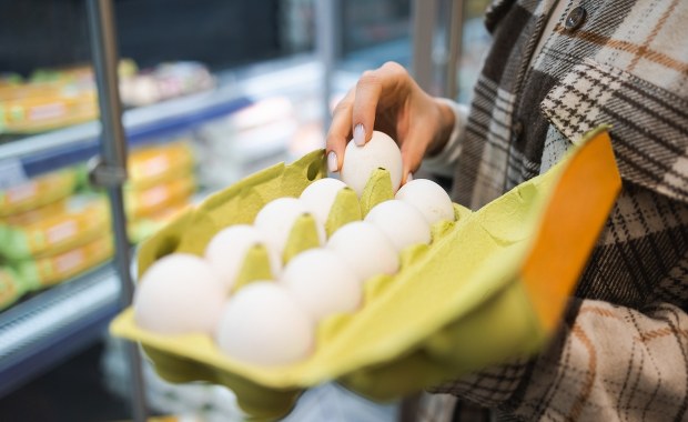 Ceny jaj biją rekordy. Oto powody