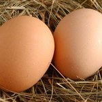 Ceny jaj wciąż rekordowe, ale tanieją przemysłowe
