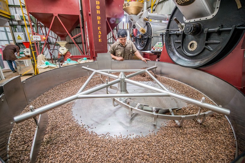 Ceny kawy już poszybowały w górę. Farmerzy zajmujący się uprawą kawowca od wielu lat borykają się ze skutkami zmian klimatycznych / Edwin Remsberg / Vwpics /Agencja FORUM